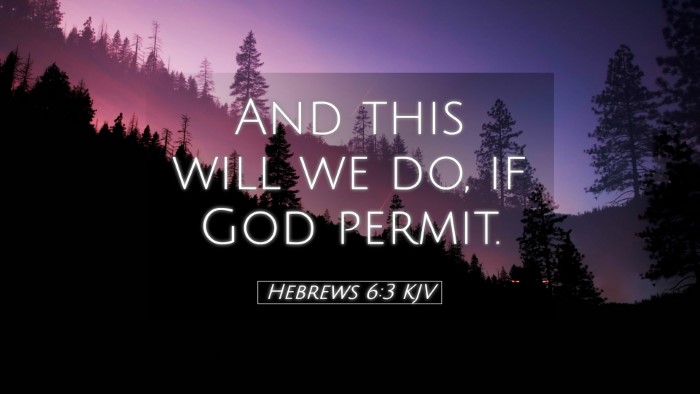 Picture 05 - Hebrews 6:3 KJV Desktop Wallpaper - And this will we do, if God - Desktop Bible Verse Wallpaper