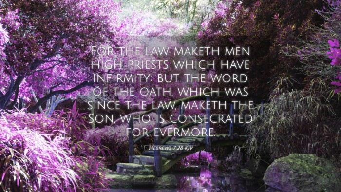 Picture 05 - Hebrews 7:28 KJV Desktop Wallpaper - For the law maketh men high priests which have - Desktop Bible Verse Wallpaper