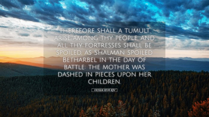 Picture 05 - Hosea 10:14 KJV Desktop Wallpaper - Therefore shall a tumult arise among thy people, - Desktop Bible Verse Wallpaper