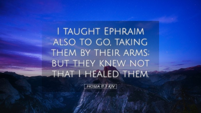Picture 05 - Hosea 11:3 KJV Desktop Wallpaper - I taught Ephraim also to go, taking them by their - Desktop Bible Verse Wallpaper