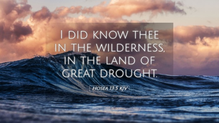 Picture 05 - Hosea 13:5 KJV Desktop Wallpaper - I did know thee in the wilderness, in the land of - Desktop Bible Verse Wallpaper