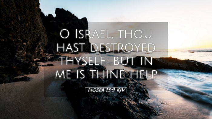 Picture 05 - Hosea 13:9 KJV Desktop Wallpaper - O Israel, thou hast destroyed thyself; but in me - Desktop Bible Verse Wallpaper