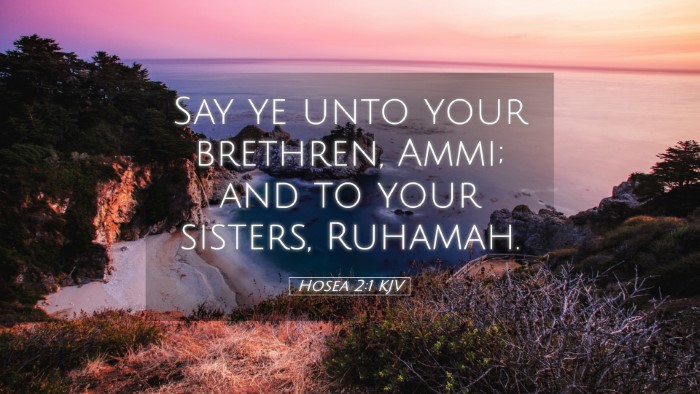 Picture 05 - Hosea 2:1 KJV Desktop Wallpaper - Say ye unto your brethren, Ammi; and to your - Desktop Bible Verse Wallpaper