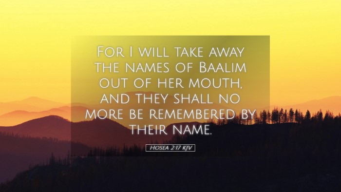 Picture 05 - Hosea 2:17 KJV Desktop Wallpaper - For I will take away the names of Baalim out of - Desktop Bible Verse Wallpaper