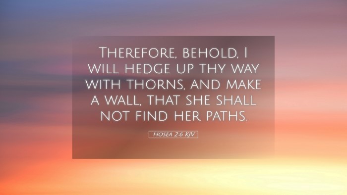 Picture 05 - Hosea 2:6 KJV Desktop Wallpaper - Therefore, behold, I will hedge up thy way with - Desktop Bible Verse Wallpaper