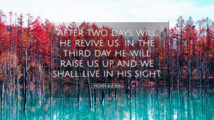 Picture 05 - Hosea 6:2 KJV Desktop Wallpaper - After two days will he revive us: in the third - Desktop Bible Verse Wallpaper