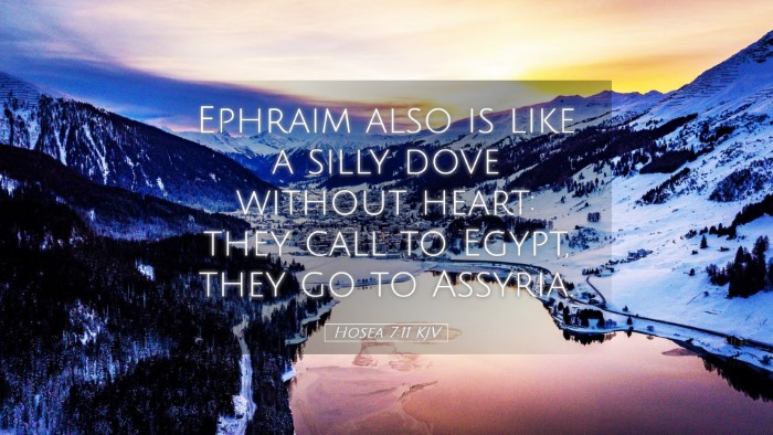 Picture 05 - Hosea 7:11 KJV Desktop Wallpaper - Ephraim also is like a silly dove without heart: - Desktop Bible Verse Wallpaper