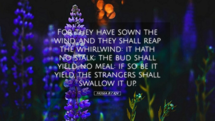Picture 05 - Hosea 8:7 KJV Desktop Wallpaper - For they have sown the wind, and they shall reap - Desktop Bible Verse Wallpaper