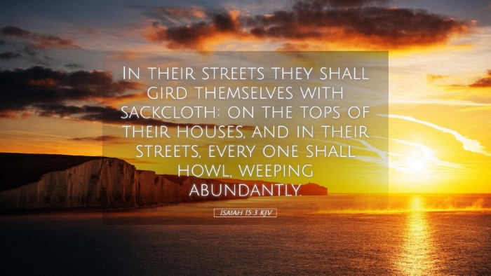 Picture 05 - Isaiah 15:3 KJV Desktop Wallpaper - In their streets they shall gird themselves with - Desktop Bible Verse Wallpaper