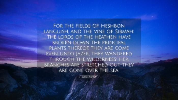 Picture 05 - Isaiah 16:8 KJV Desktop Wallpaper - For the fields of Heshbon languish, and the vine - Desktop Bible Verse Wallpaper