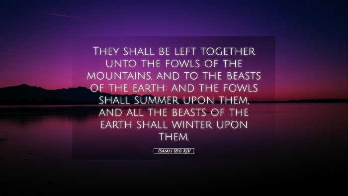 Picture 05 - Isaiah 18:6 KJV Desktop Wallpaper - They shall be left together unto the fowls of the - Desktop Bible Verse Wallpaper