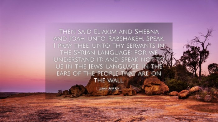 Picture 05 - Isaiah 36:11 KJV Desktop Wallpaper - Then said Eliakim and Shebna and Joah unto - Desktop Bible Verse Wallpaper