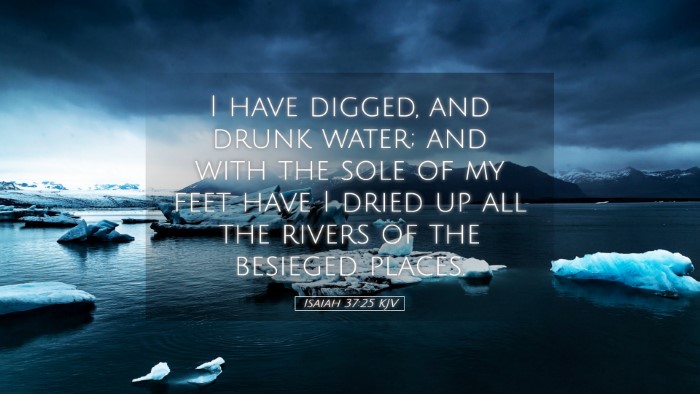 Picture 05 - Isaiah 37:25 KJV Desktop Wallpaper - I have digged, and drunk water; and with the sole - Desktop Bible Verse Wallpaper