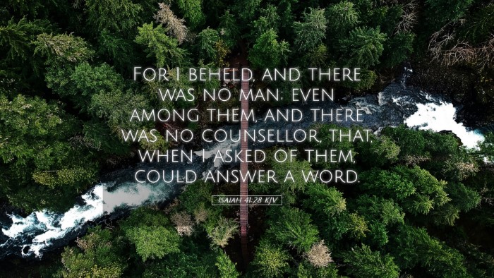 Picture 05 - Isaiah 41:28 KJV Desktop Wallpaper - For I beheld, and there was no man; even among - Desktop Bible Verse Wallpaper
