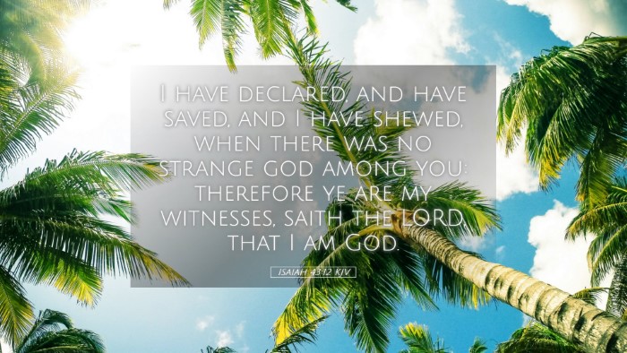 Picture 05 - Isaiah 43:12 KJV Desktop Wallpaper - I have declared, and have saved, and I have - Desktop Bible Verse Wallpaper