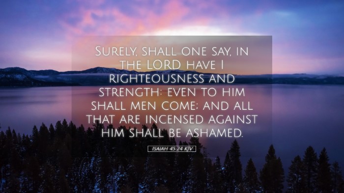 Picture 05 - Isaiah 45:24 KJV Desktop Wallpaper - Surely, shall one say, in the LORD have I - Desktop Bible Verse Wallpaper