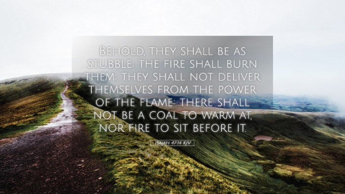 Picture 05 - Isaiah 47:14 KJV Desktop Wallpaper - Behold, they shall be as stubble; the fire shall - Desktop Bible Verse Wallpaper