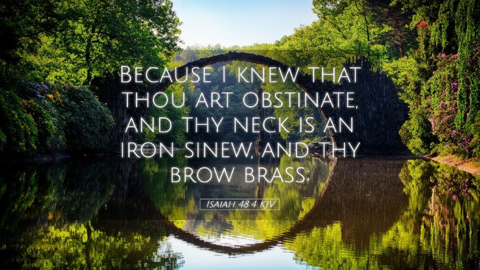 Picture 05 - Isaiah 48:4 KJV Desktop Wallpaper - Because I knew that thou art obstinate, and thy - Desktop Bible Verse Wallpaper