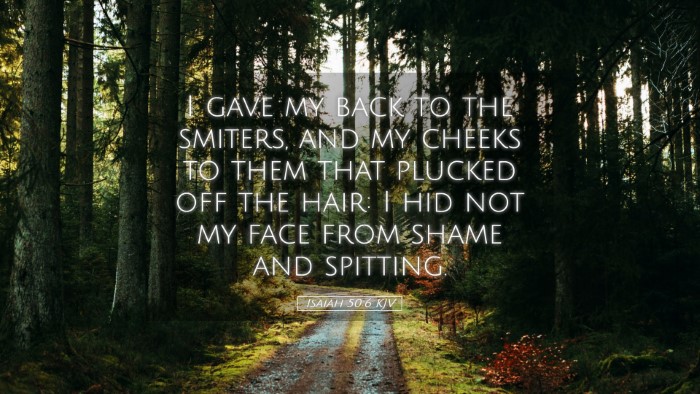 Picture 05 - Isaiah 50:6 KJV Desktop Wallpaper - I gave my back to the smiters, and my cheeks to - Desktop Bible Verse Wallpaper