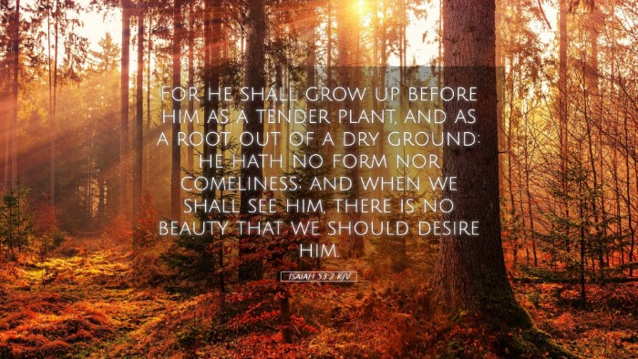 Picture 05 - Isaiah 53:2 KJV Desktop Wallpaper - For he shall grow up before him as a tender - Desktop Bible Verse Wallpaper
