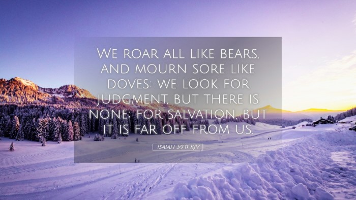 Picture 05 - Isaiah 59:11 KJV Desktop Wallpaper - We roar all like bears, and mourn sore like - Desktop Bible Verse Wallpaper