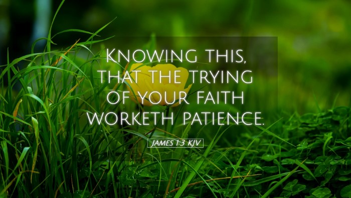 Picture 05 - James 1:3 KJV Desktop Wallpaper - Knowing this, that the trying of your faith - Desktop Bible Verse Wallpaper