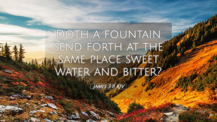 Picture 05 - James 3:11 KJV Desktop Wallpaper - Doth a fountain send forth at the same place - Desktop Bible Verse Wallpaper