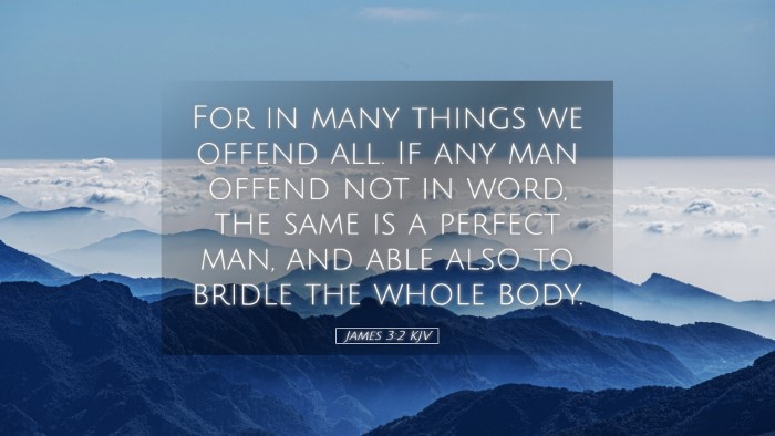 Picture 05 - James 3:2 KJV Desktop Wallpaper - For in many things we offend all. If any man - Desktop Bible Verse Wallpaper