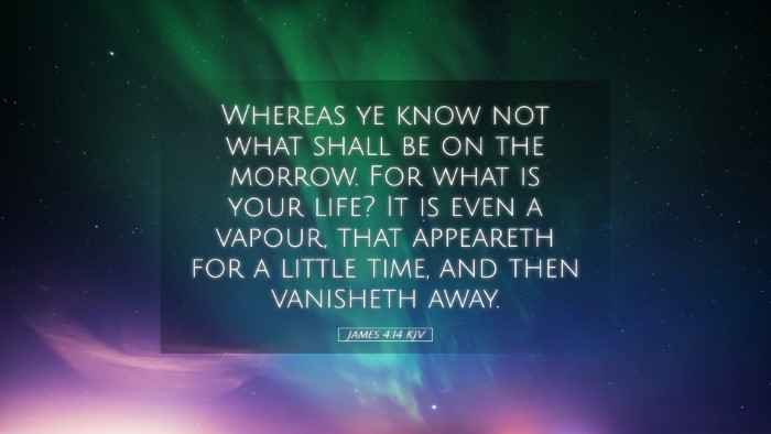 Picture 05 - James 4:14 KJV Desktop Wallpaper - Whereas ye know not what shall be on the morrow. - Desktop Bible Verse Wallpaper
