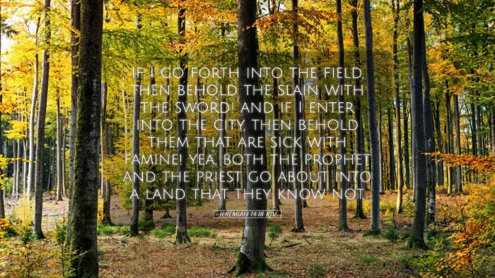 Picture 05 - Jeremiah 14:18 KJV Desktop Wallpaper - If I go forth into the field, then behold the - Desktop Bible Verse Wallpaper