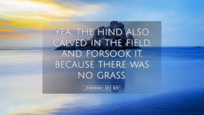 Picture 05 - Jeremiah 14:5 KJV Desktop Wallpaper - Yea, the hind also calved in the field, and - Desktop Bible Verse Wallpaper