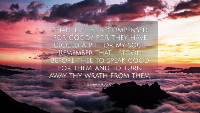 Picture 05 - Jeremiah 18:20 KJV Desktop Wallpaper - Shall evil be recompensed for good? for they have - Desktop Bible Verse Wallpaper