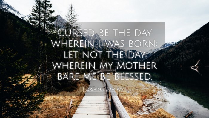 Picture 05 - Jeremiah 20:14 KJV Desktop Wallpaper - Cursed be the day wherein I was born: let not the - Desktop Bible Verse Wallpaper