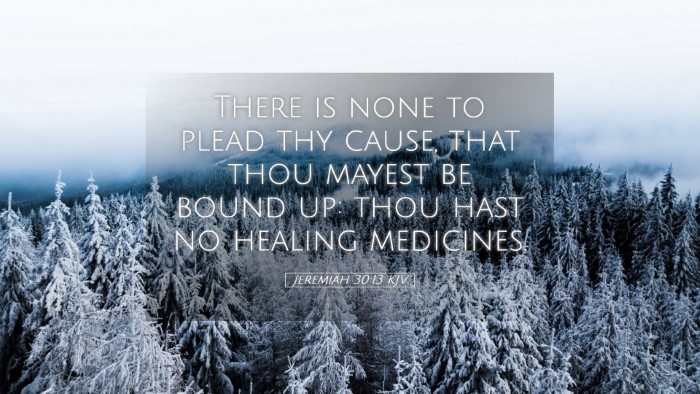 Picture 05 - Jeremiah 30:13 KJV Desktop Wallpaper - There is none to plead thy cause, that thou - Desktop Bible Verse Wallpaper
