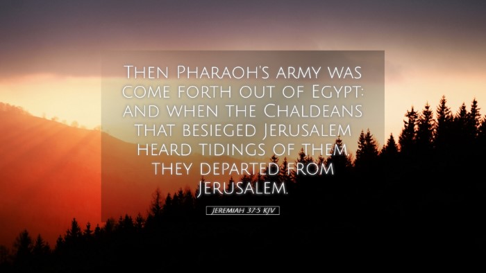 Picture 05 - Jeremiah 37:5 KJV Desktop Wallpaper - Then Pharaoh's army was come forth out of Egypt: - Desktop Bible Verse Wallpaper