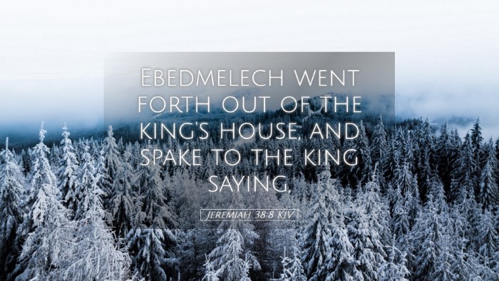 Picture 05 - Jeremiah 38:8 KJV Desktop Wallpaper - Ebedmelech went forth out of the king's house, - Desktop Bible Verse Wallpaper