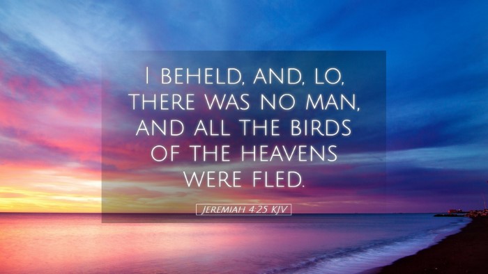 Picture 05 - Jeremiah 4:25 KJV Desktop Wallpaper - I beheld, and, lo, there was no man, and all the - Desktop Bible Verse Wallpaper