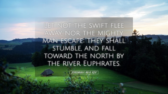 Picture 05 - Jeremiah 46:6 KJV Desktop Wallpaper - Let not the swift flee away, nor the mighty man - Desktop Bible Verse Wallpaper