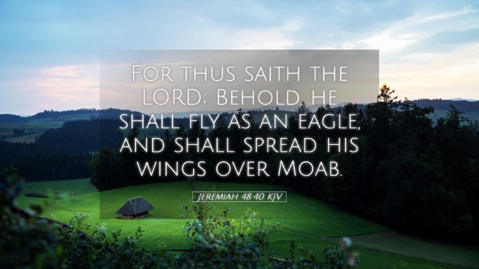 Picture 05 - Jeremiah 48:40 KJV Desktop Wallpaper - For thus saith the LORD; Behold, he shall fly as - Desktop Bible Verse Wallpaper