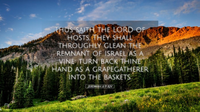 Picture 05 - Jeremiah 6:9 KJV Desktop Wallpaper - Thus saith the LORD of hosts, They shall - Desktop Bible Verse Wallpaper
