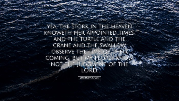 Picture 05 - Jeremiah 8:7 KJV Desktop Wallpaper - Yea, the stork in the heaven knoweth her - Desktop Bible Verse Wallpaper