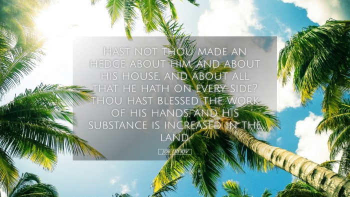 Picture 05 - Job 1:10 KJV Desktop Wallpaper - Hast not thou made an hedge about him, and about - Desktop Bible Verse Wallpaper