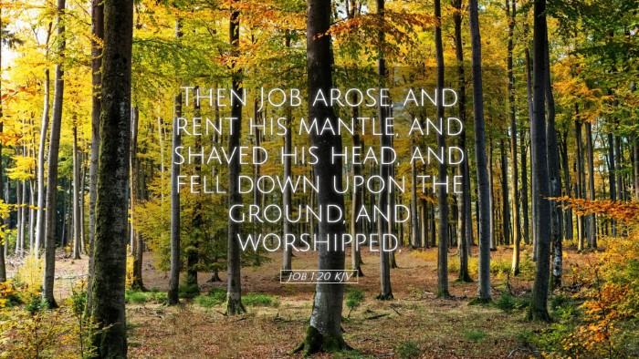 Picture 05 - Job 1:20 KJV Desktop Wallpaper - Then Job arose, and rent his mantle, and shaved - Desktop Bible Verse Wallpaper