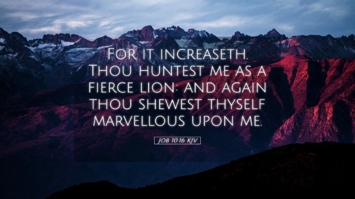 Picture 05 - Job 10:16 KJV Desktop Wallpaper - For it increaseth. Thou huntest me as a fierce - Desktop Bible Verse Wallpaper