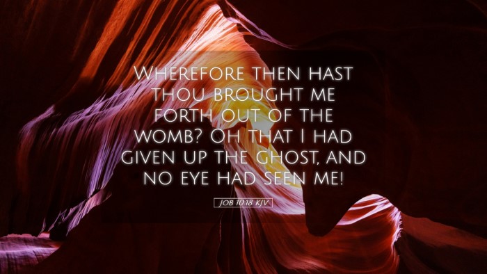 Picture 05 - Job 10:18 KJV Desktop Wallpaper - Wherefore then hast thou brought me forth out of - Desktop Bible Verse Wallpaper