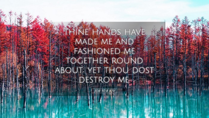 Picture 05 - Job 10:8 KJV Desktop Wallpaper - Thine hands have made me and fashioned me - Desktop Bible Verse Wallpaper