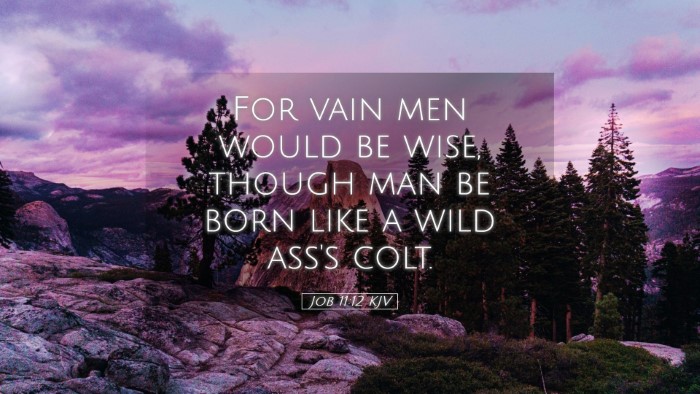 Picture 05 - Job 11:12 KJV Desktop Wallpaper - For vain men would be wise, though man be born - Desktop Bible Verse Wallpaper