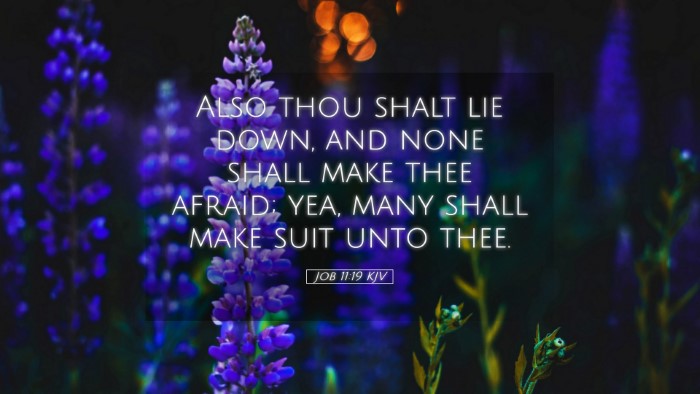 Picture 05 - Job 11:19 KJV Desktop Wallpaper - Also thou shalt lie down, and none shall make - Desktop Bible Verse Wallpaper