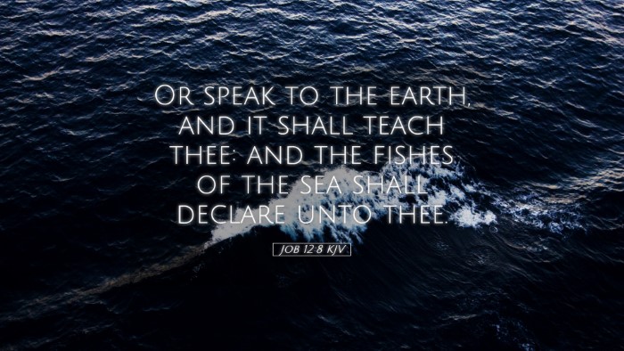 Picture 05 - Job 12:8 KJV Desktop Wallpaper - Or speak to the earth, and it shall teach thee: - Desktop Bible Verse Wallpaper