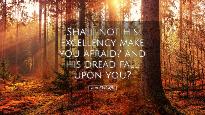 Picture 05 - Job 13:11 KJV Desktop Wallpaper - Shall not his excellency make you afraid? and his - Desktop Bible Verse Wallpaper